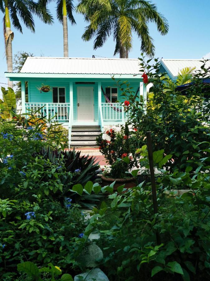 Harbour View Boutique Hotel & Yoga Retreat Belize City Luaran gambar